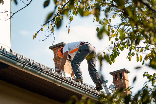 Best Roof Repair Services  in Landover Hills, MD